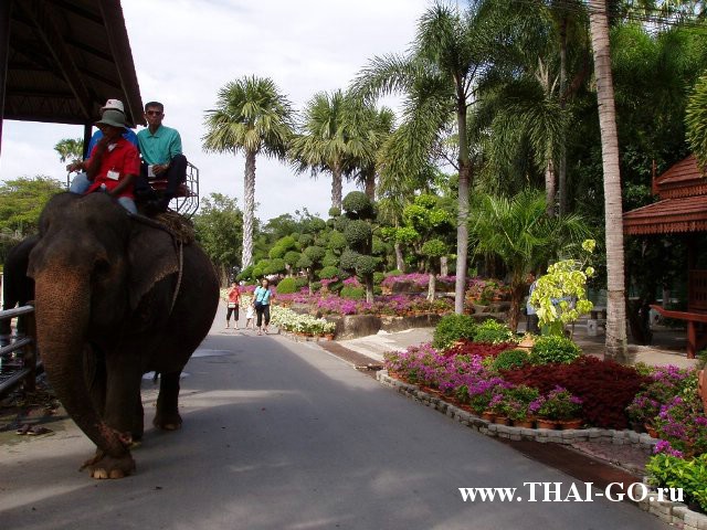 �������, ����, ��������� ����������� ��� ���� ���