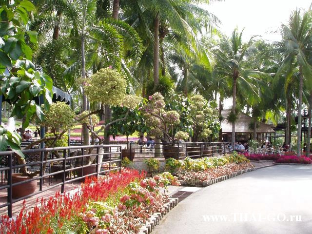 �������, ����, ��������� ����������� ��� ���� ���