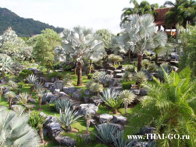 �������, ����, ��������� ����������� ��� ���� ���