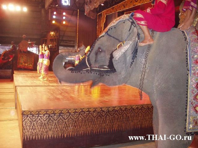 �������, ����, ��������� ����������� ��� ���� ���