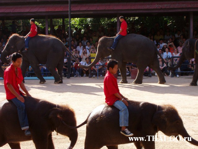 �������, ����, ��������� ����������� ��� ���� ���