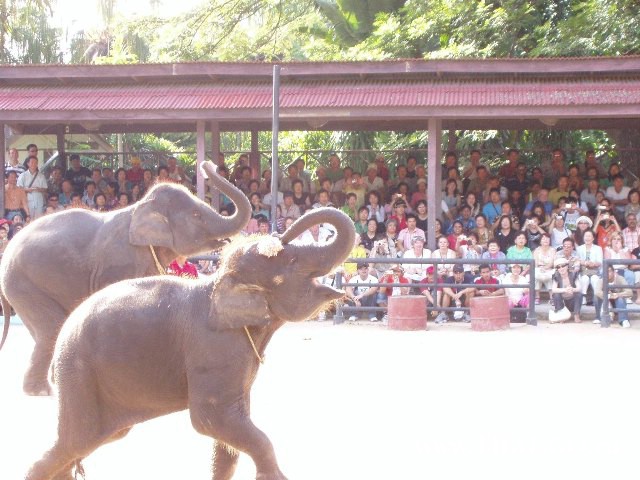 �������, ����, ��������� ����������� ��� ���� ���