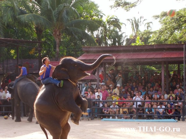 �������, ����, ��������� ����������� ��� ���� ���