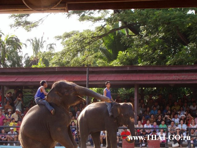 �������, ����, ��������� ����������� ��� ���� ���