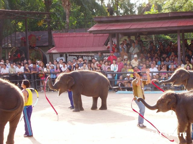 �������, ����, ��������� ����������� ��� ���� ���