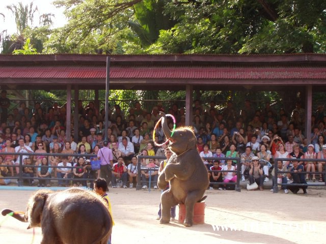 �������, ����, ��������� ����������� ��� ���� ���