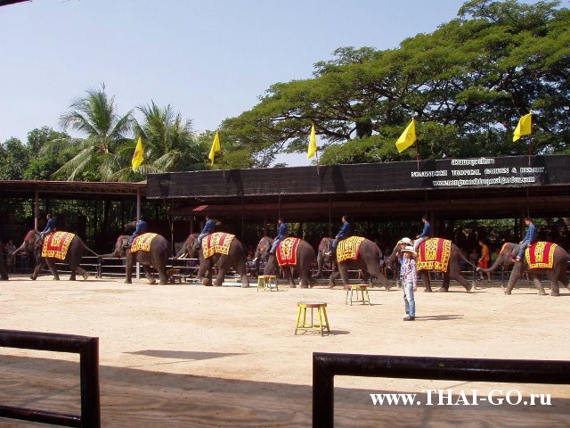 �������, ����, ��������� ����������� ��� ���� ���