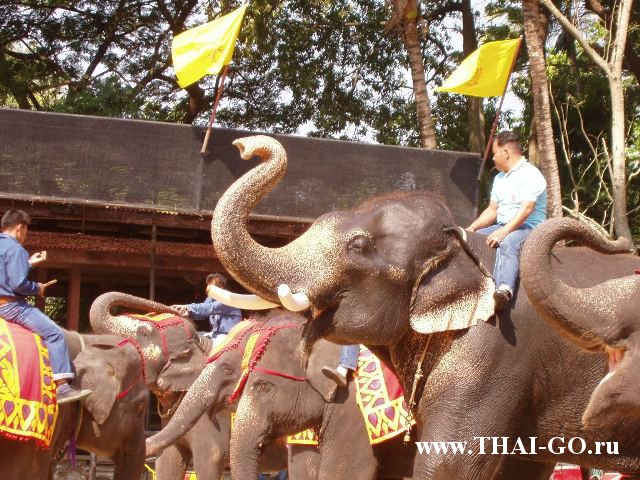 �������, ����, ��������� ����������� ��� ���� ���