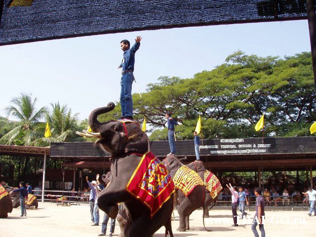 �������, ����, ��������� ����������� ��� ���� ���