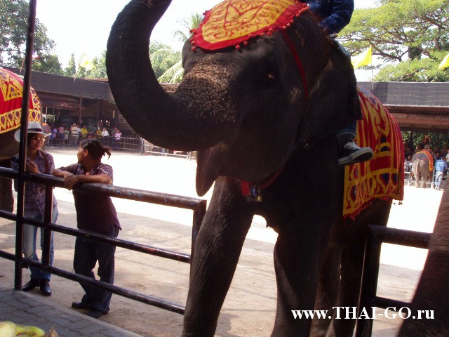 �������, ����, ��������� ����������� ��� ���� ���