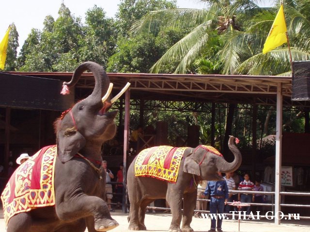 �������, ����, ��������� ����������� ��� ���� ���