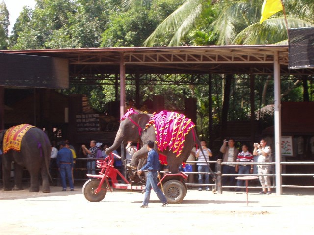 �������, ����, ��������� ����������� ��� ���� ���