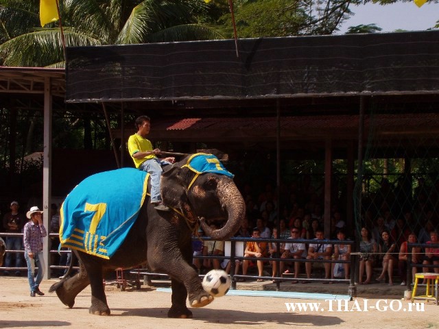 �������, ����, ��������� ����������� ��� ���� ���