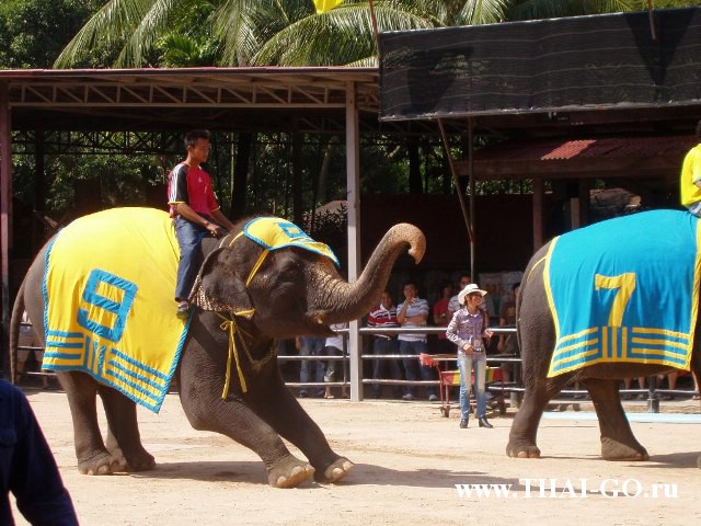 �������, ����, ��������� ����������� ��� ���� ���