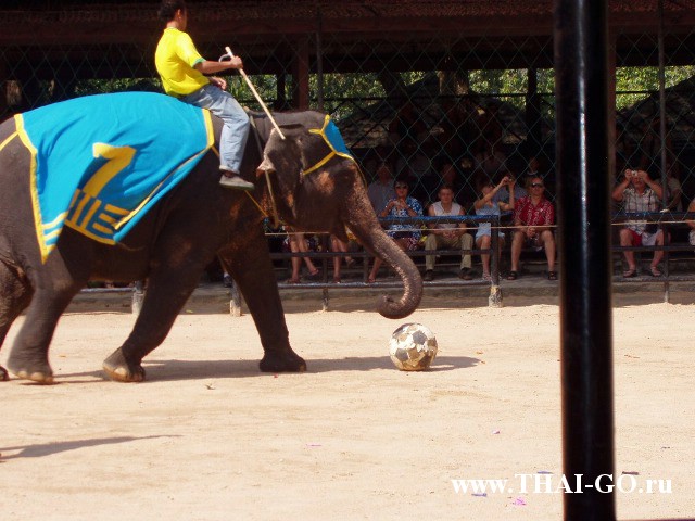 �������, ����, ��������� ����������� ��� ���� ���