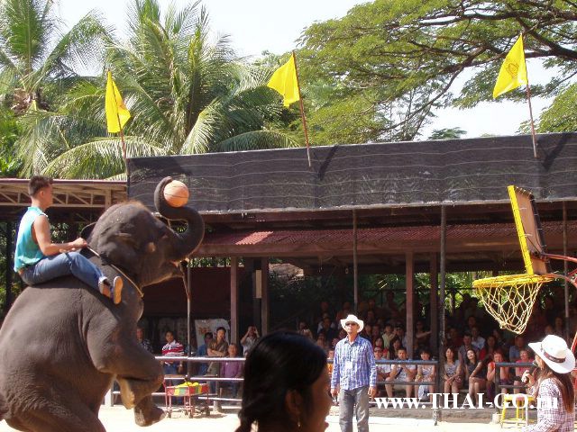 �������, ����, ��������� ����������� ��� ���� ���