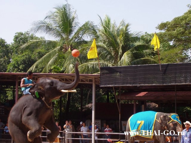 �������, ����, ��������� ����������� ��� ���� ���