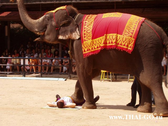 �������, ����, ��������� ����������� ��� ���� ���