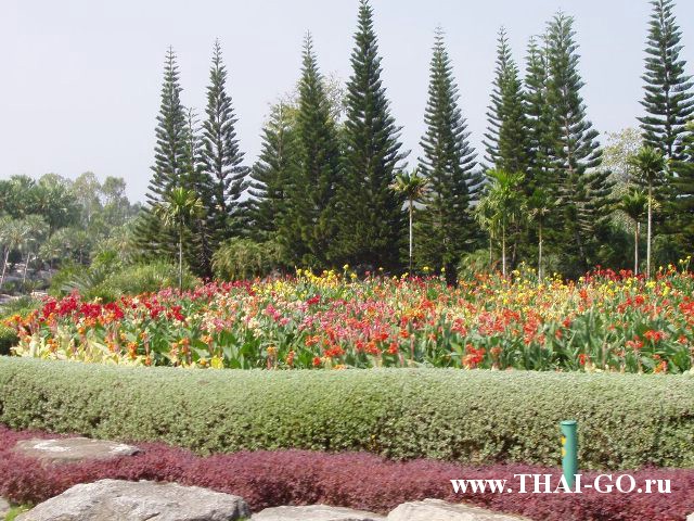 �������, ����, ��������� ����������� ��� ���� ���