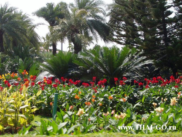 �������, ����, ��������� ����������� ��� ���� ���