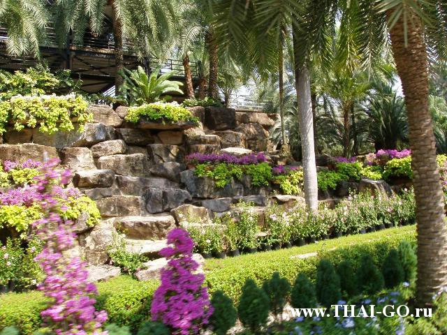 �������, ����, ��������� ����������� ��� ���� ���