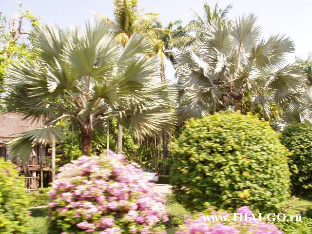 �������, ����, ��������� ����������� ��� ���� ���