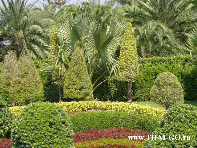 �������, ����, ��������� ����������� ��� ���� ���