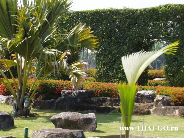 �������, ����, ��������� ����������� ��� ���� ���