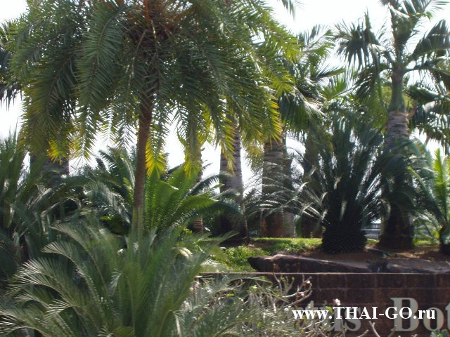 �������, ����, ��������� ����������� ��� ���� ���