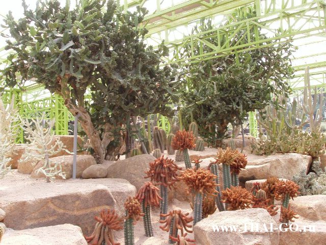 �������, ����, ��������� ����������� ��� ���� ���