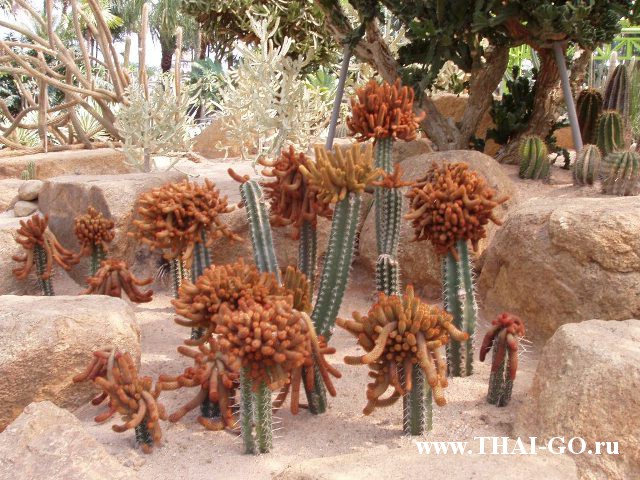 �������, ����, ��������� ����������� ��� ���� ���