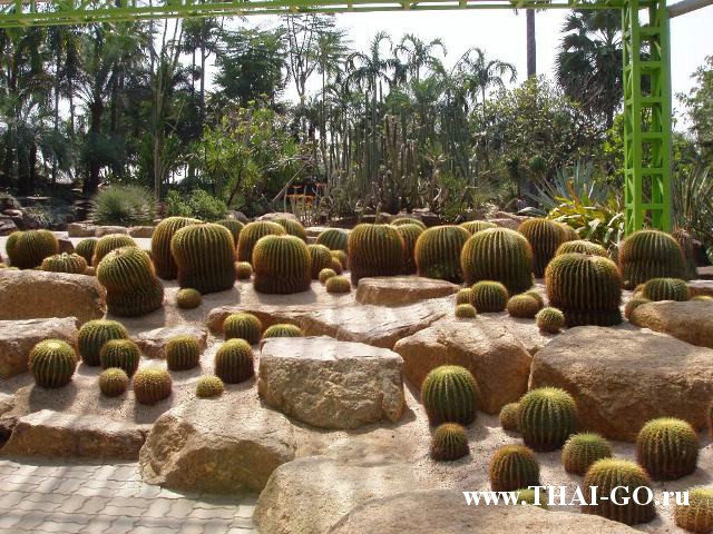 �������, ����, ��������� ����������� ��� ���� ���