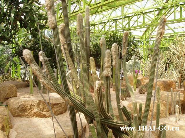 �������, ����, ��������� ����������� ��� ���� ���