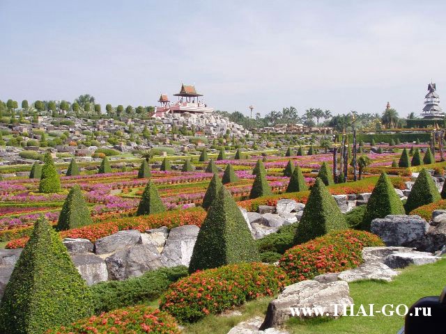 �������, ����, ��������� ����������� ��� ���� ���