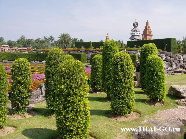 �������, ����, ��������� ����������� ��� ���� ���