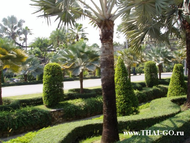 �������, ����, ��������� ����������� ��� ���� ���