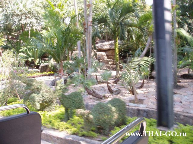 �������, ����, ��������� ����������� ��� ���� ���