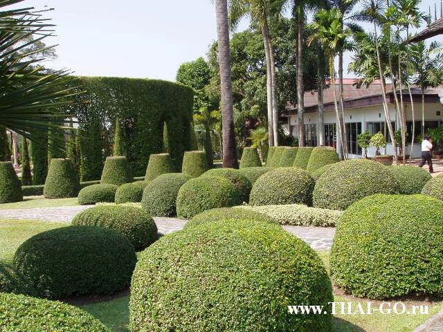 �������, ����, ��������� ����������� ��� ���� ���