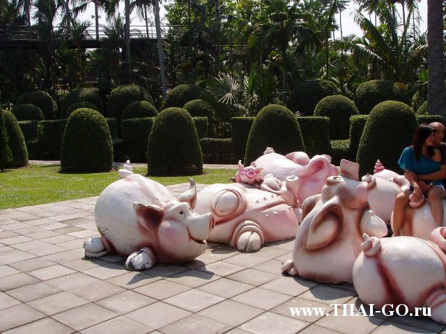 �������, ����, ��������� ����������� ��� ���� ���