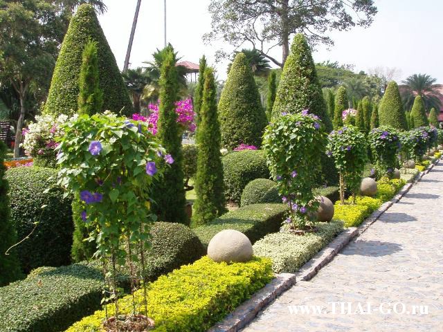 �������, ����, ��������� ����������� ��� ���� ���