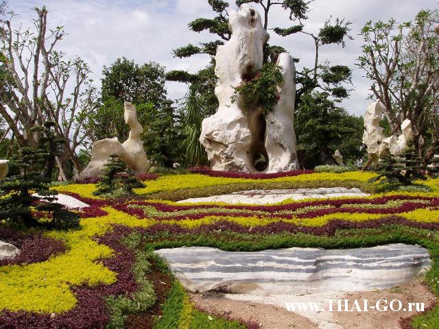 �������, ����, �������