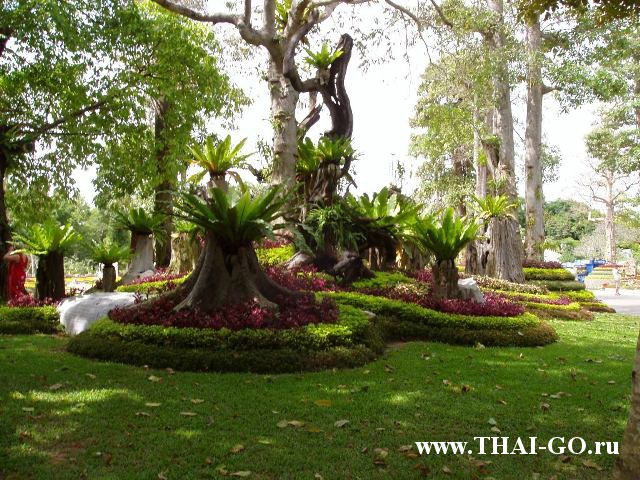 �������, ����, �������