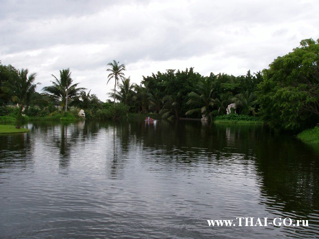 �������, ����, �������