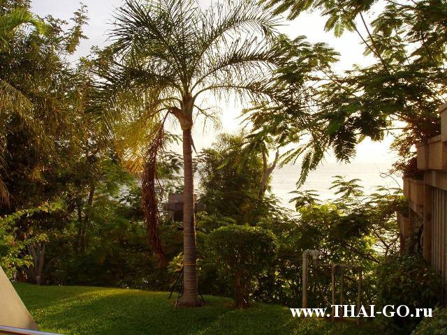 �������, ����, ����� ���� �����, royal cliff beach