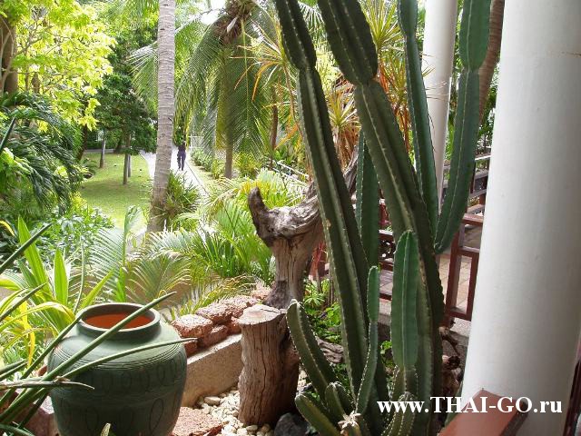 �������, ����, ����� ���� �����, royal cliff beach