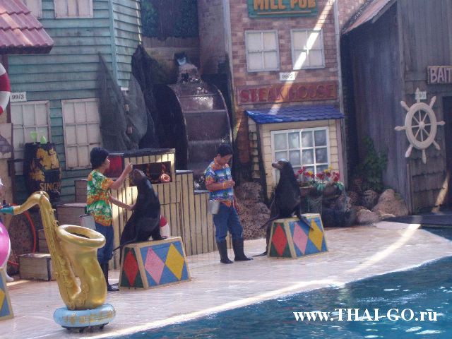 �������, ����, ������ ����