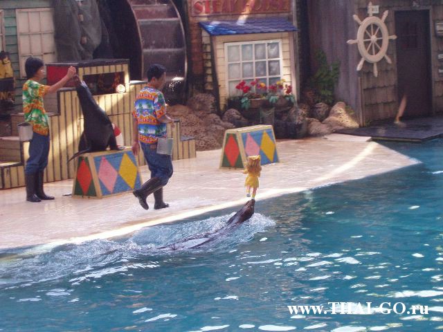 �������, ����, ������ ����