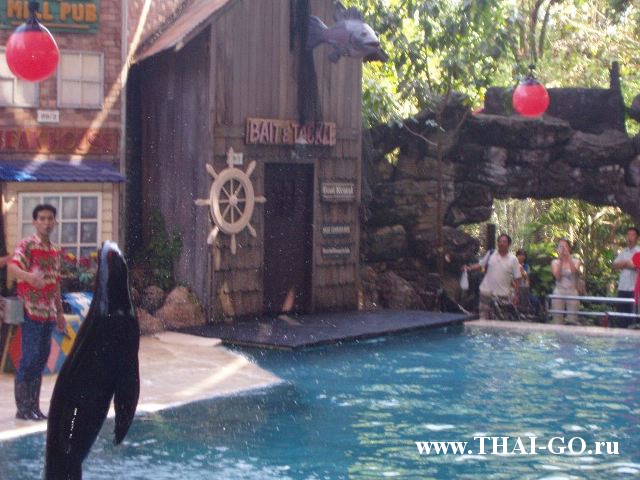 �������, ����, ������ ����