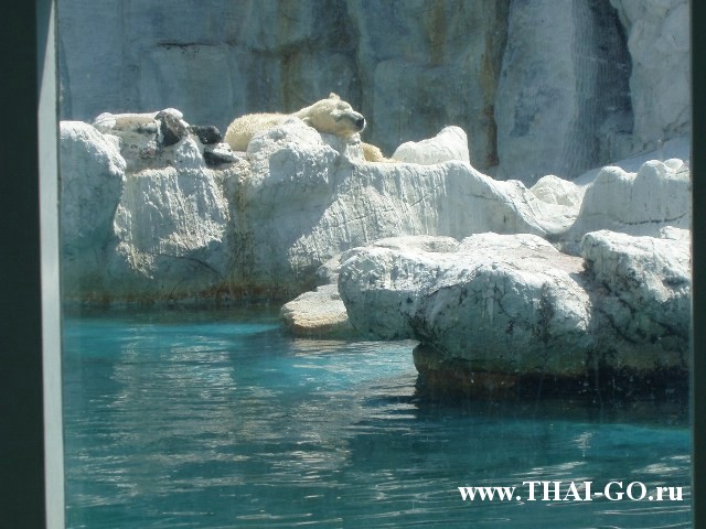 �������, ����, ������ ����