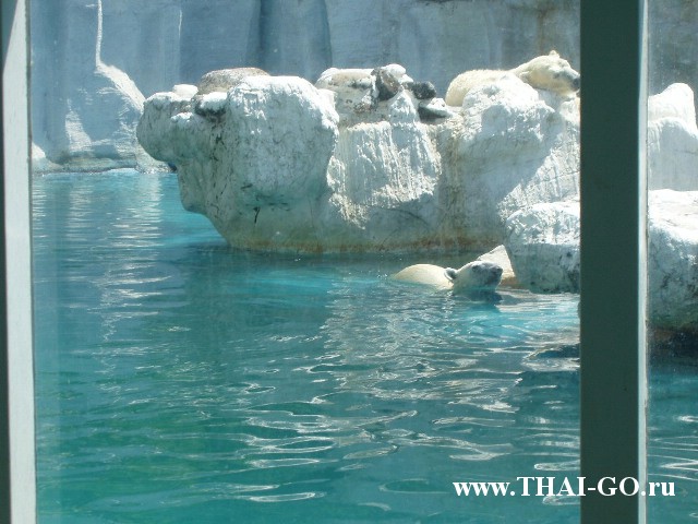 �������, ����, ������ ����